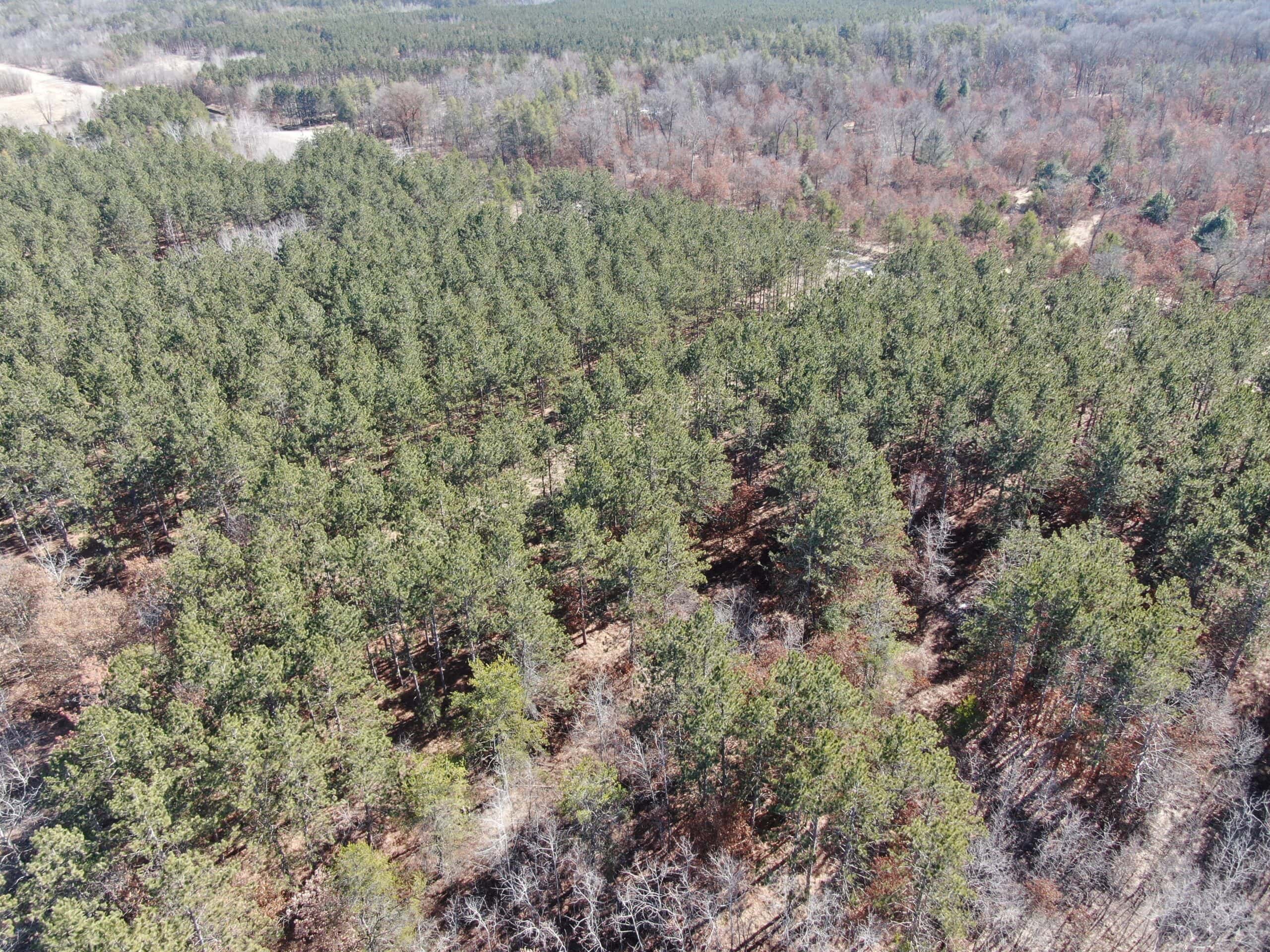 Juneau County WI 200-Acre Tract of Land
