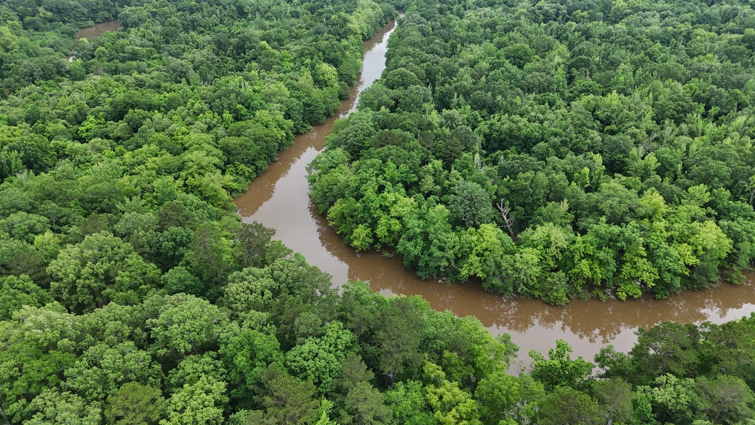 Riverfront Hunting Property with a Private Lake