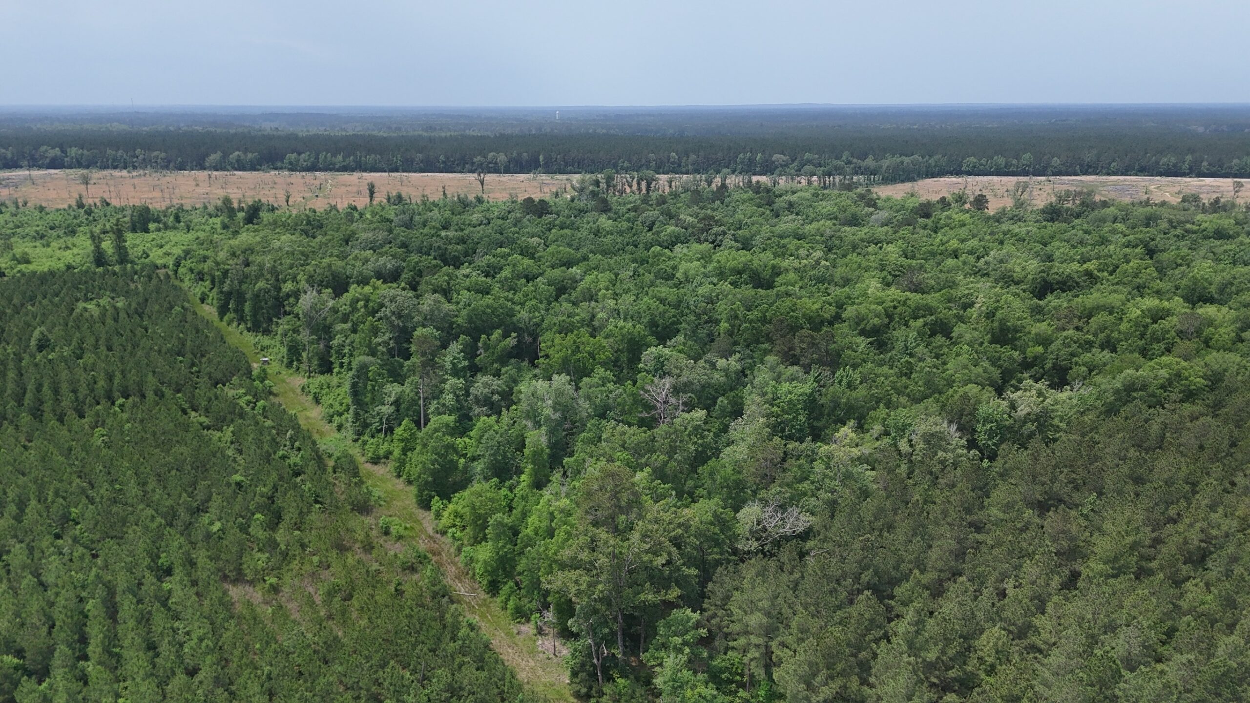 70 Acre Hunting Property with Camp Spot and Utilities