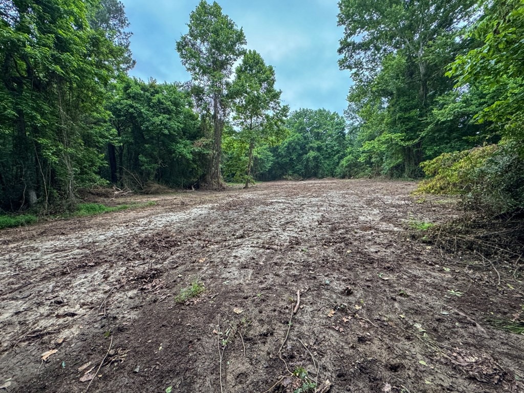 51 Acres of Hunting Land for Sale in Roxie, Mississippi