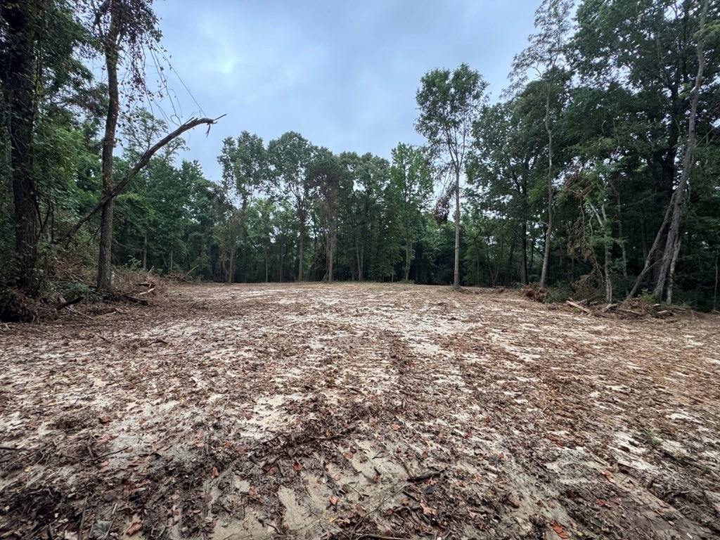 Hamburg 41: Hunting Land for Sale in Roxie, Mississippi