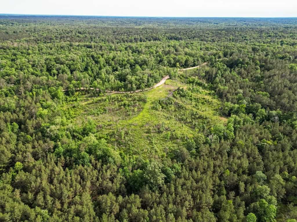 586 Hunting Land in the Catahoula Hills with Creek