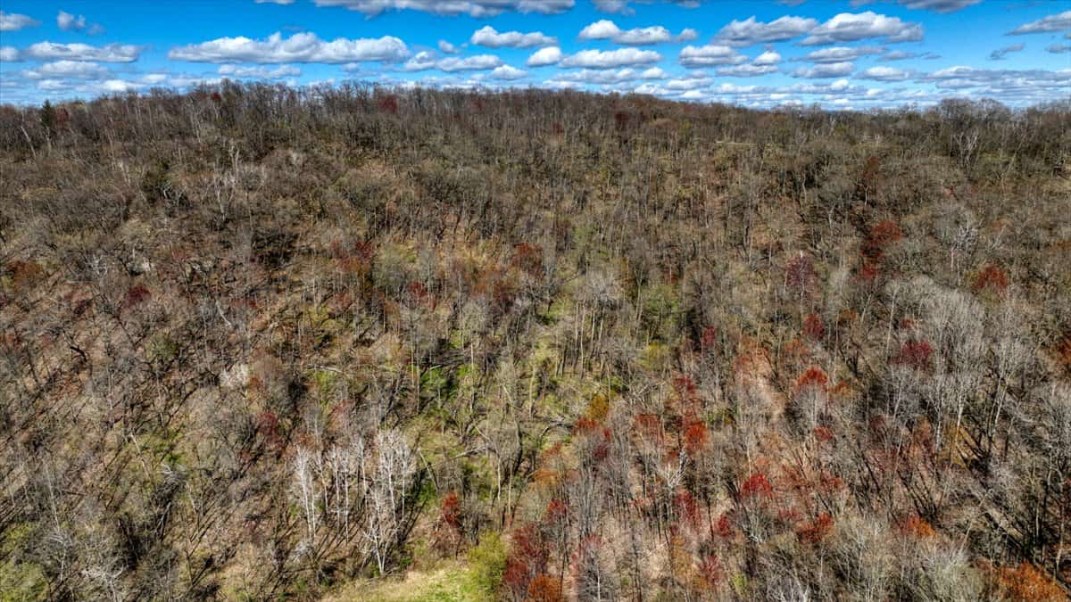 Prime 34+/- Acre Parcel in La Crosse County Wisconsin