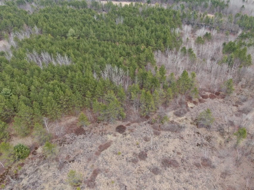 103± acre timber tract in Juneau County’s Town of Necedah