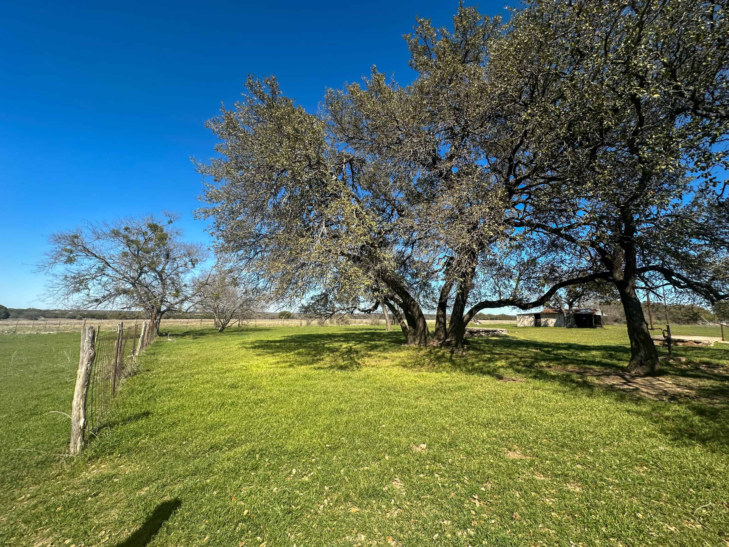 Serene 40 Acres in Central Texas