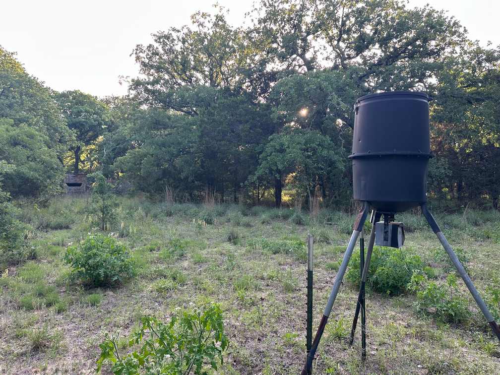 32-Acre Live Water Property with Leon River Frontage in Gatesville, TX