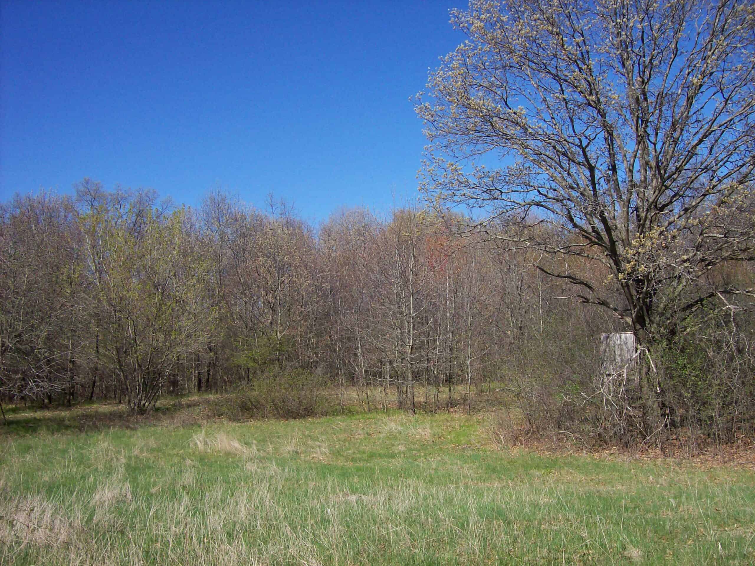 Beautiful Property Located a Few Miles North of Wautoma