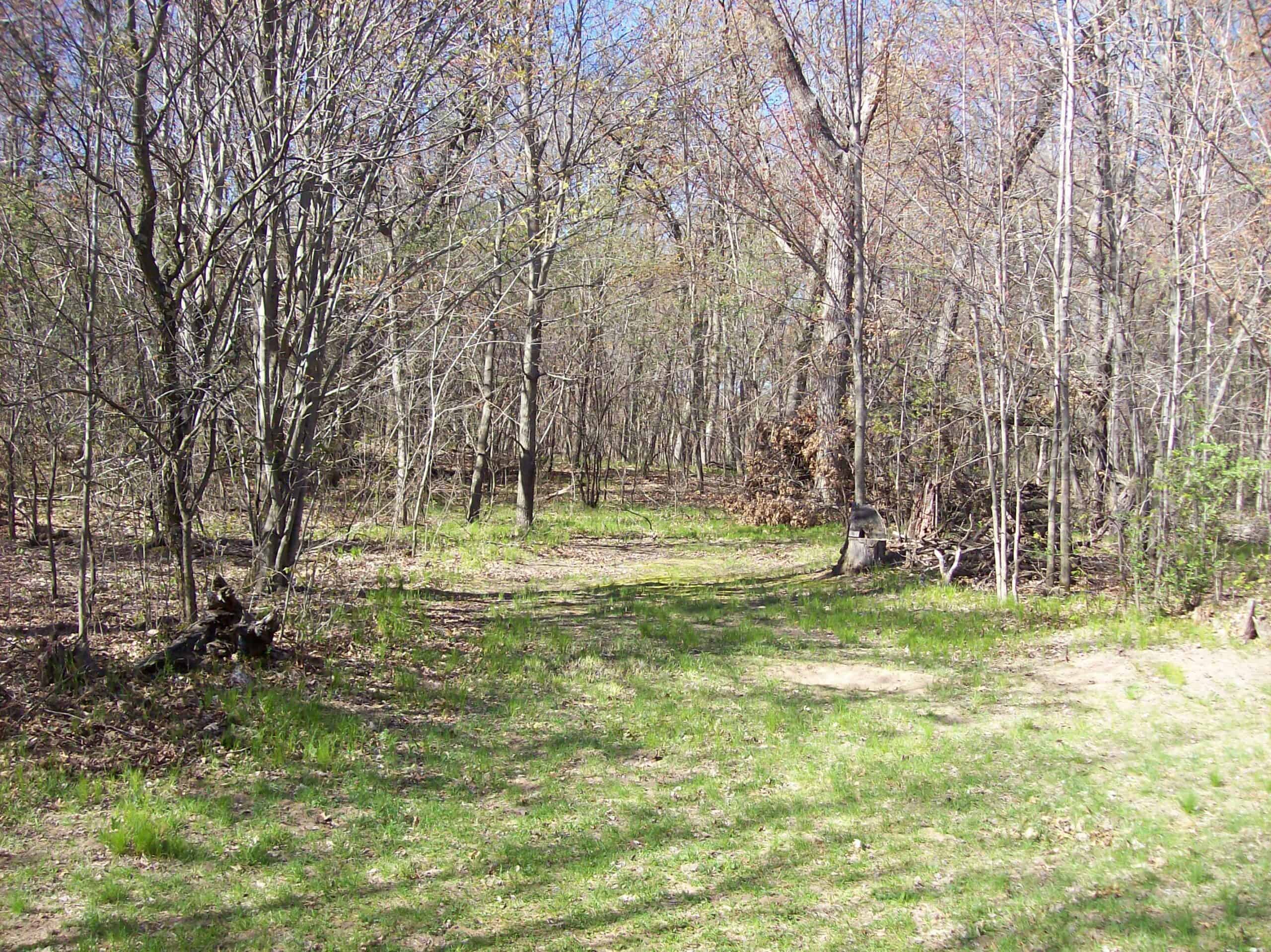Beautiful Property Located a Few Miles North of Wautoma