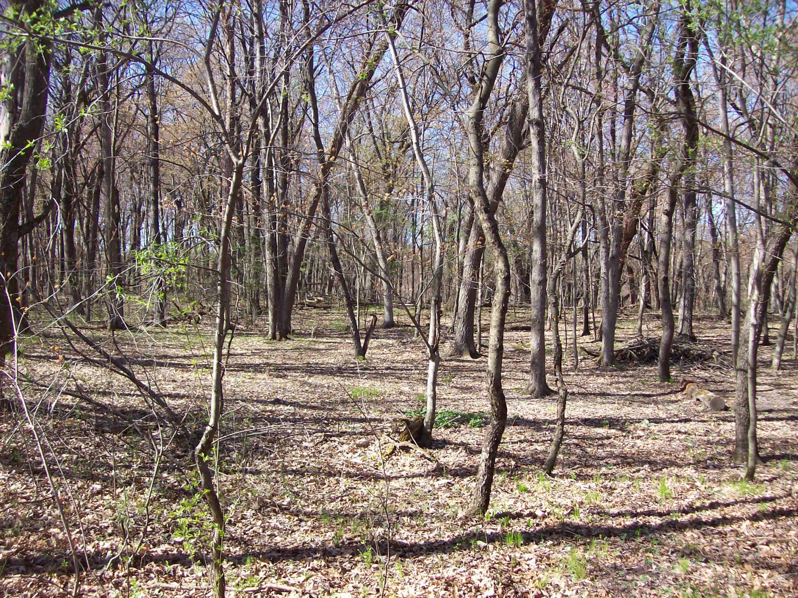 Beautiful Property Located a Few Miles North of Wautoma