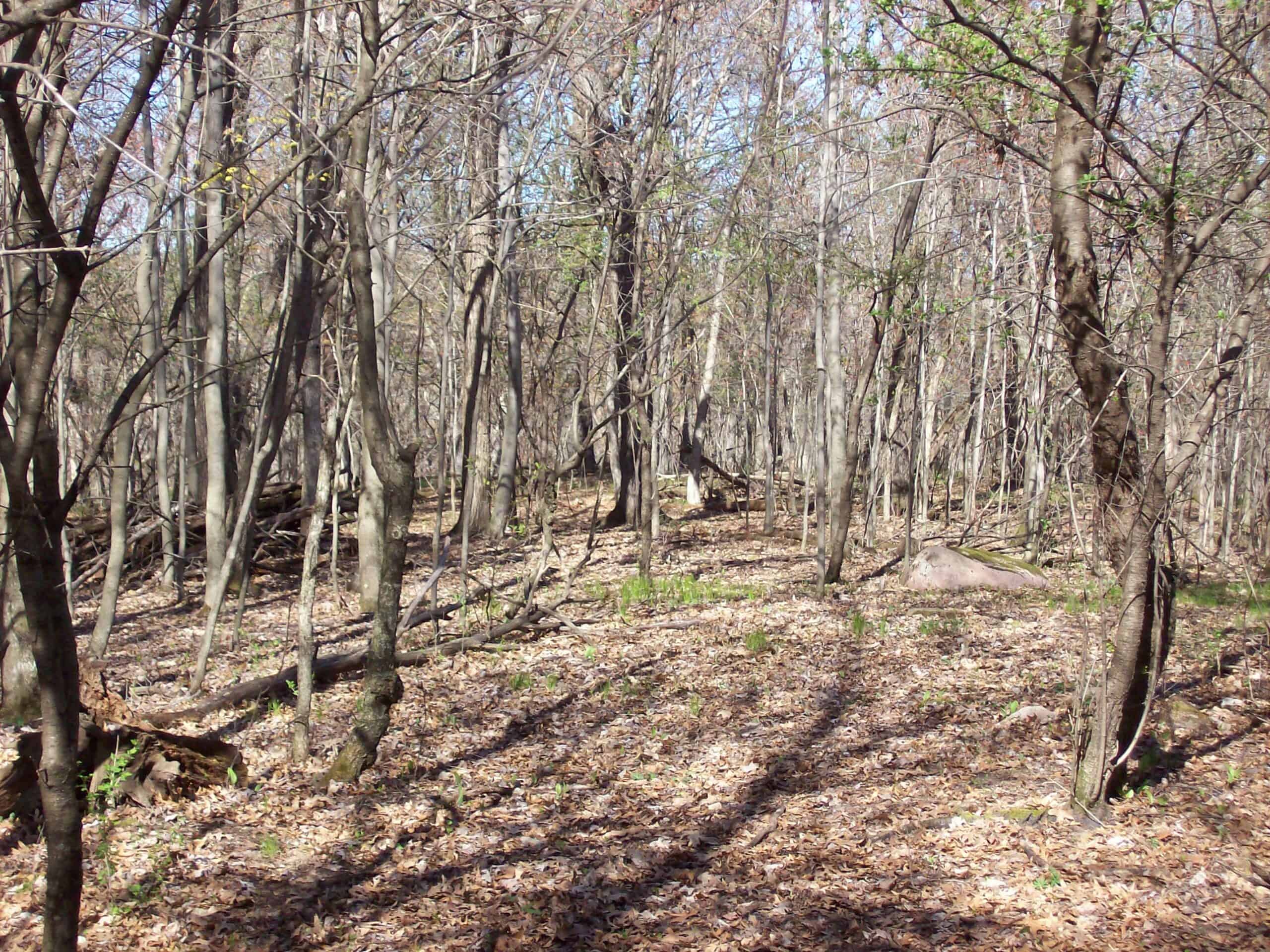 Beautiful Property Located a Few Miles North of Wautoma