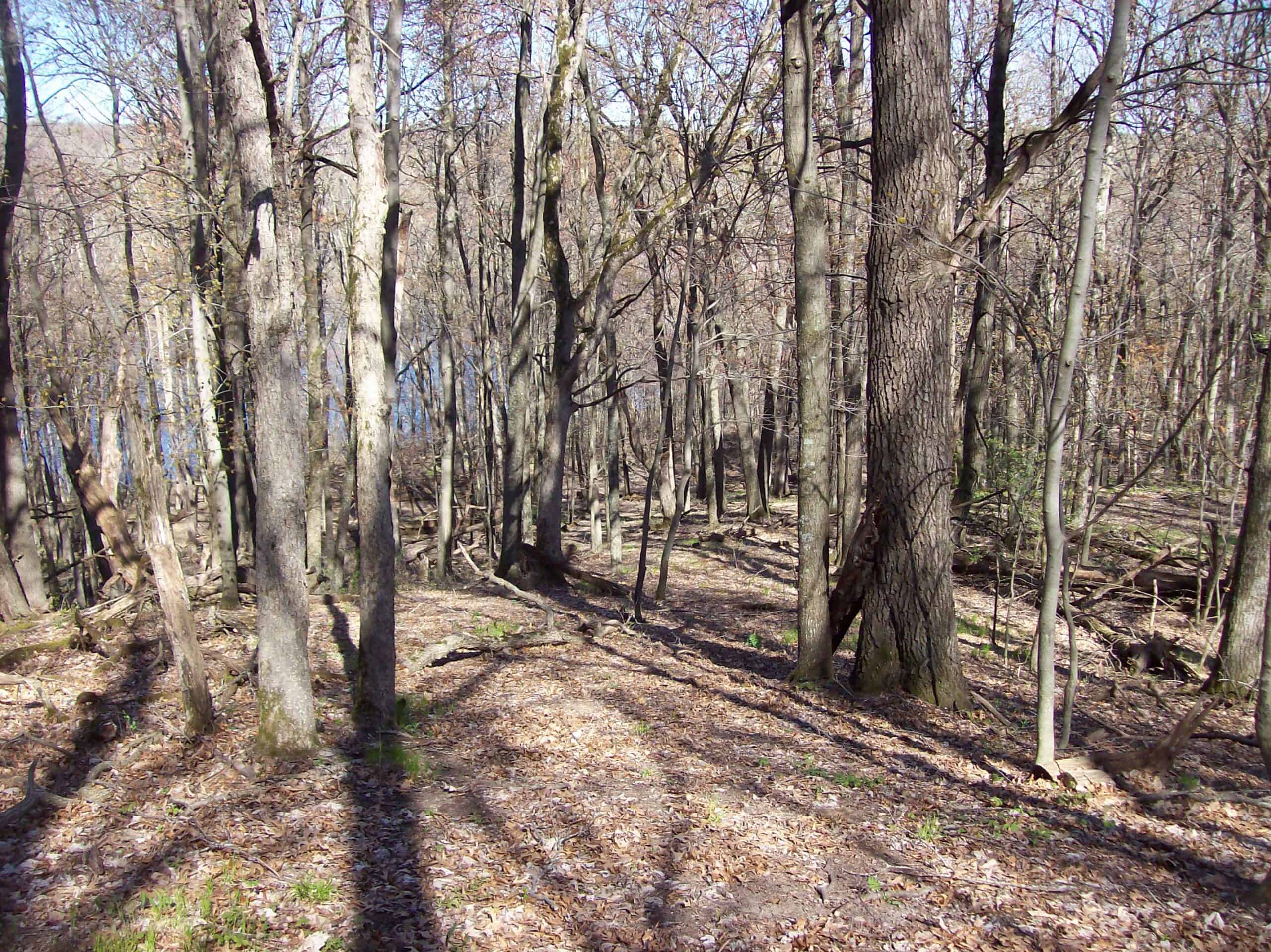 Beautiful Property Located a Few Miles North of Wautoma