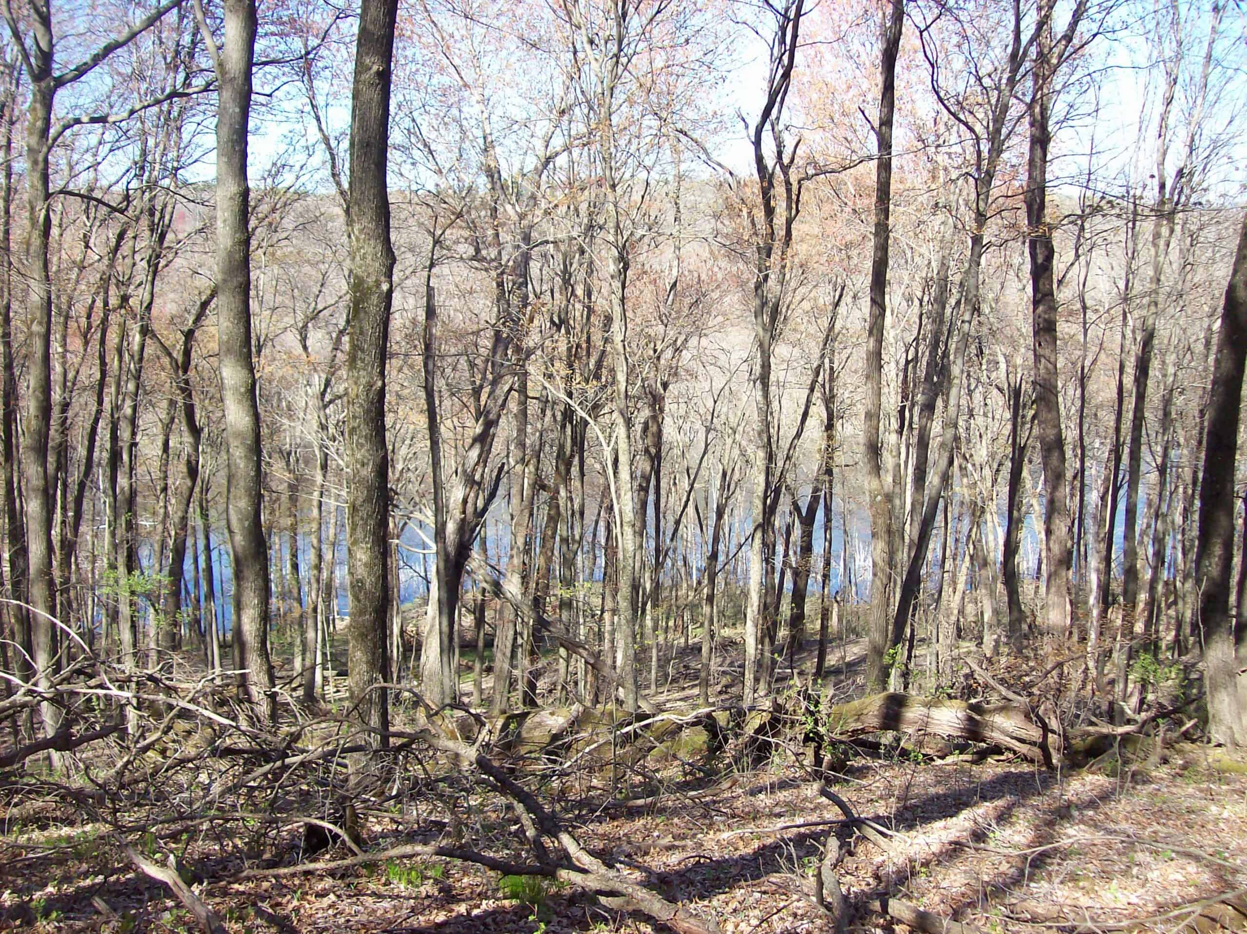 Beautiful Property Located a Few Miles North of Wautoma