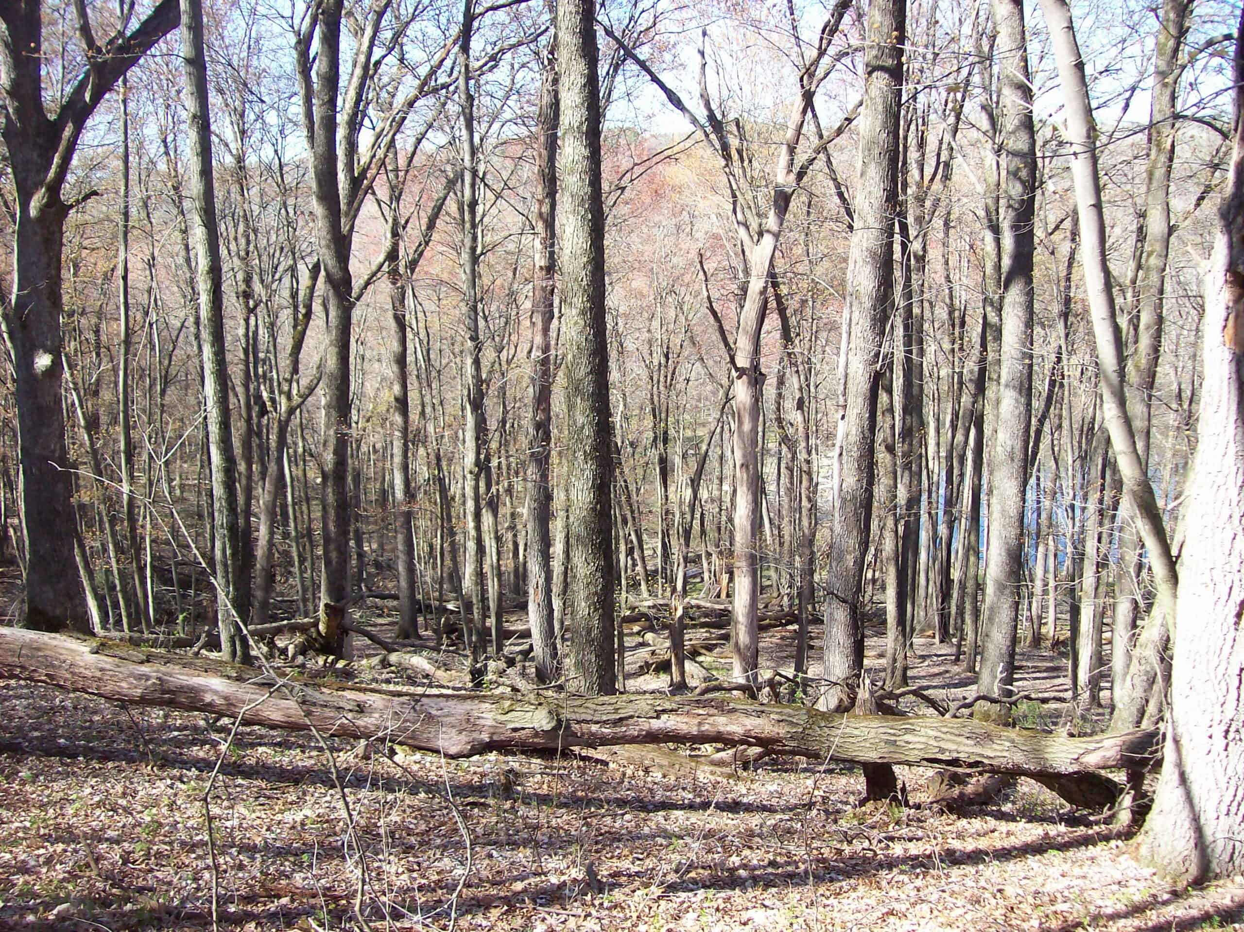 Beautiful Property Located a Few Miles North of Wautoma