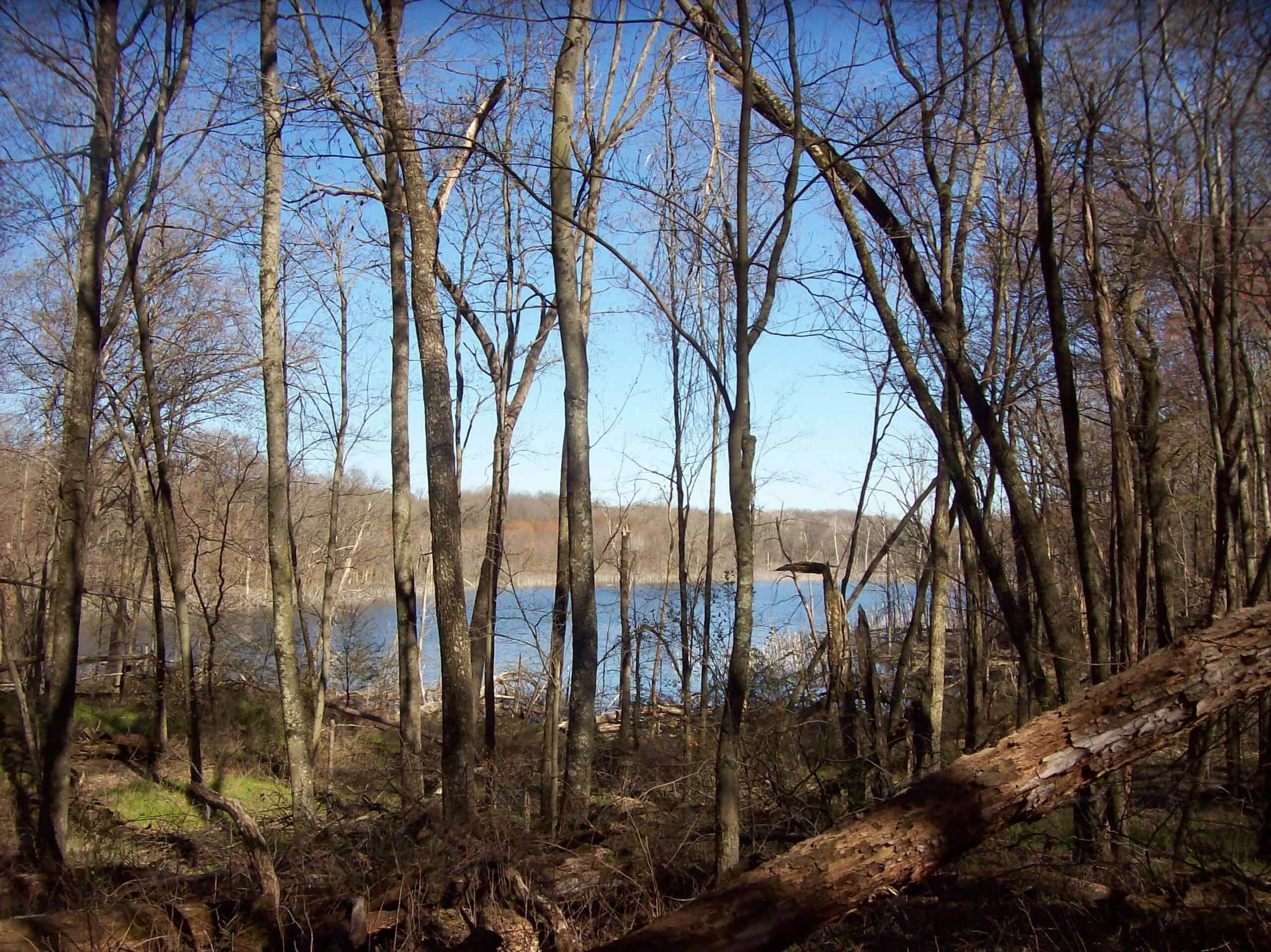 Beautiful Property Located a Few Miles North of Wautoma