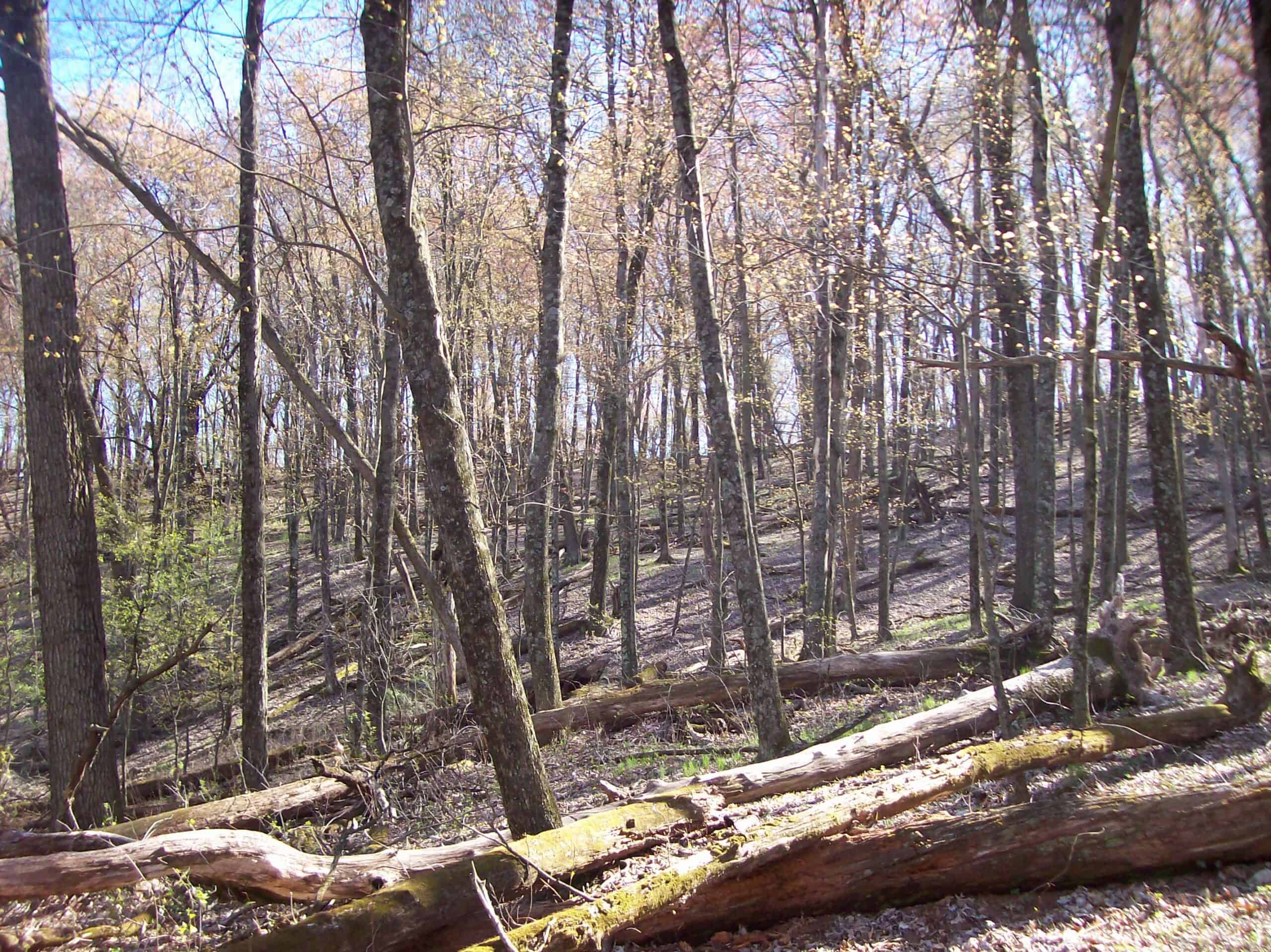 Beautiful Property Located a Few Miles North of Wautoma