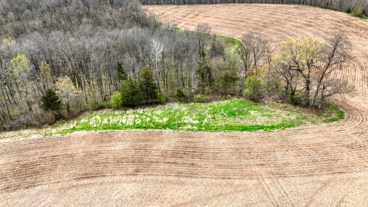 65-acre trophy whitetail and turkey hotspot