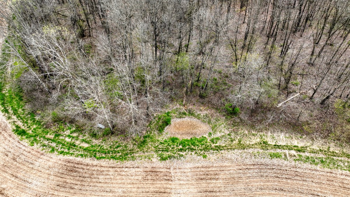 65-acre trophy whitetail and turkey hotspot
