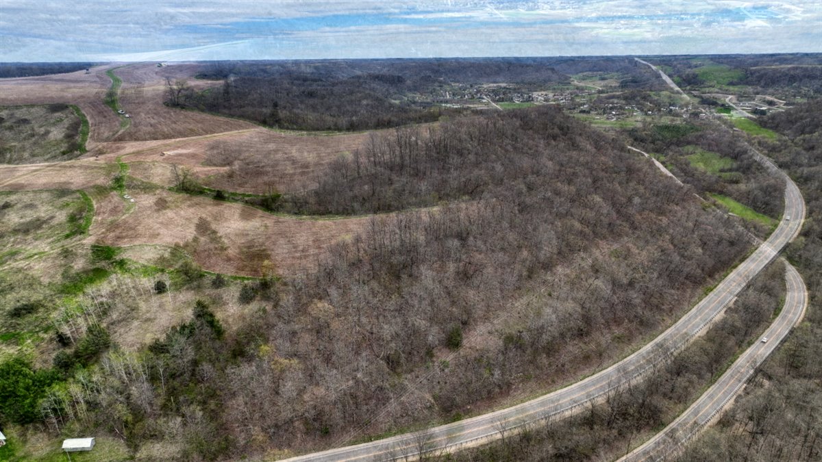 65-acre trophy whitetail and turkey hotspot