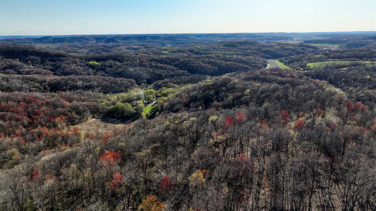 66+/- Acre Buildable Recreational Retreat – Mindoro, WI | La Crosse County