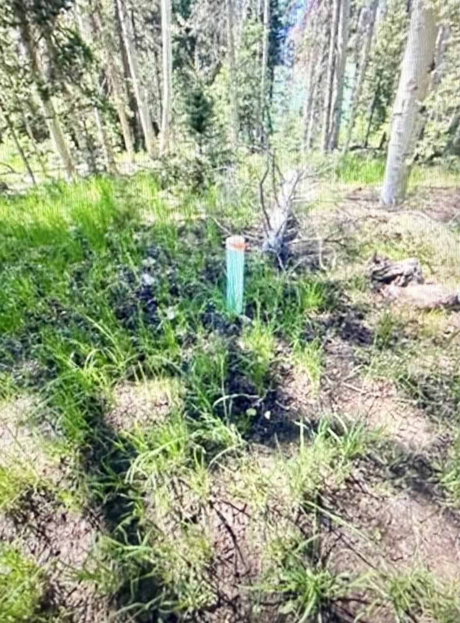 Private Lot in the Arrowhead Subdivision