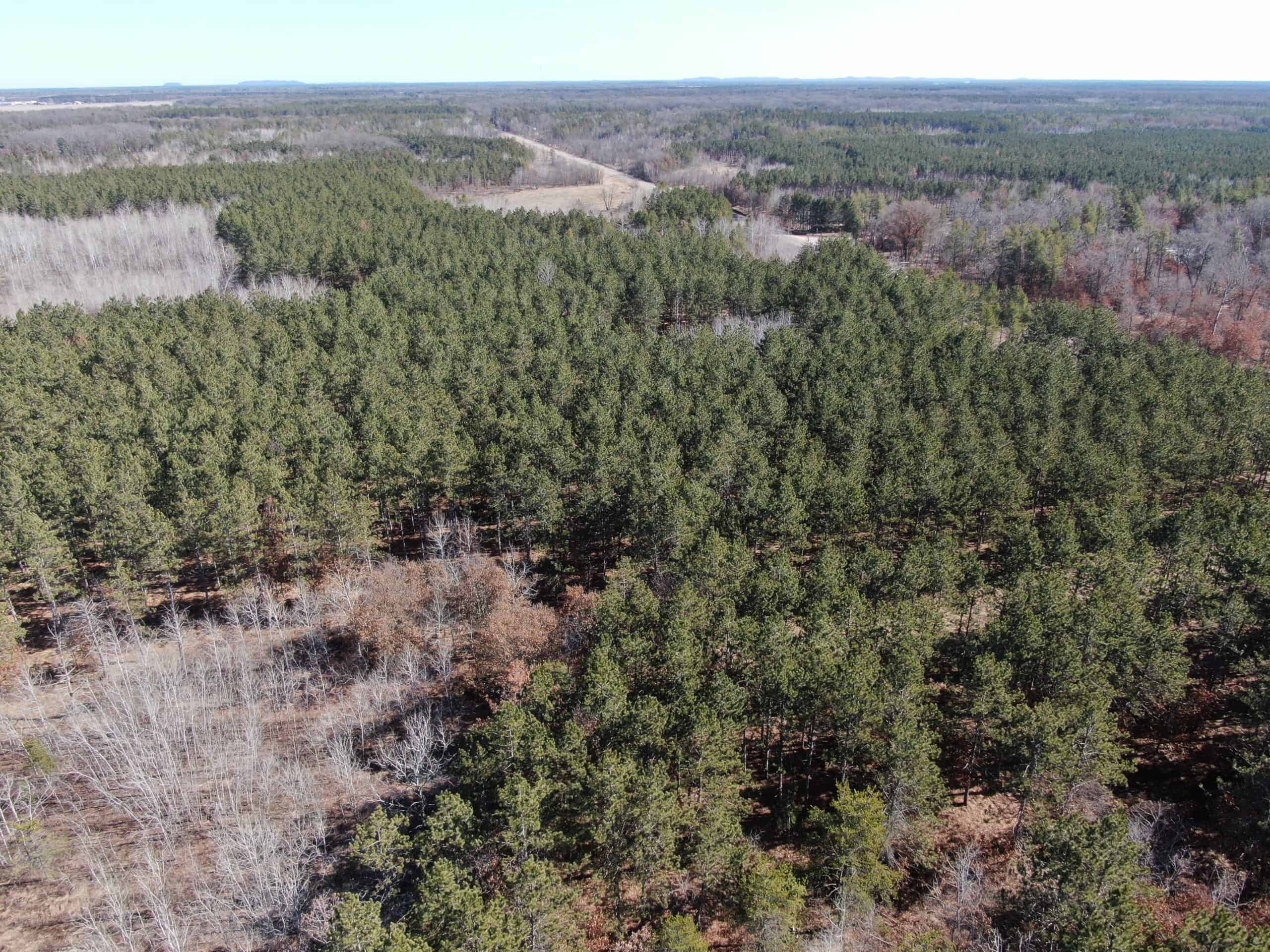 Juneau County WI 200-Acre Tract of Land