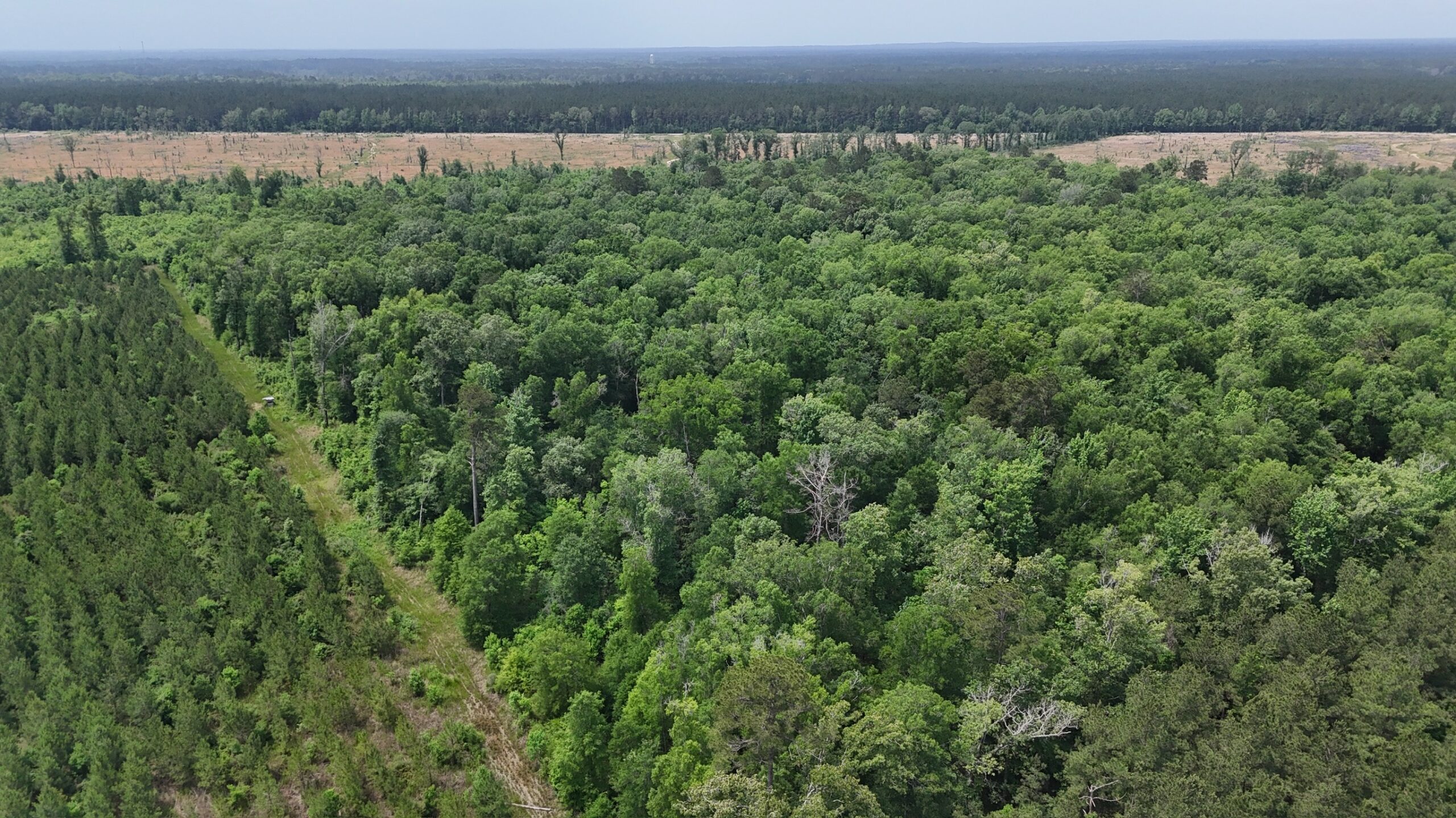 70 Acre Hunting Property with Camp Spot and Utilities