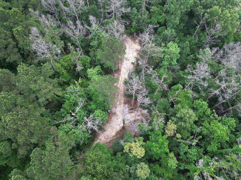 Secluded Land for Sale in Roxie – MS Hamburg Community Lot