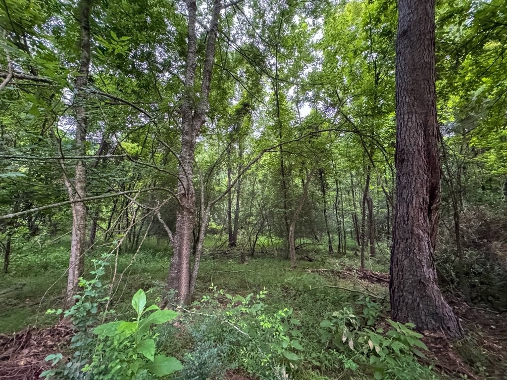 51 Acres of Hunting Land for Sale in Roxie, Mississippi