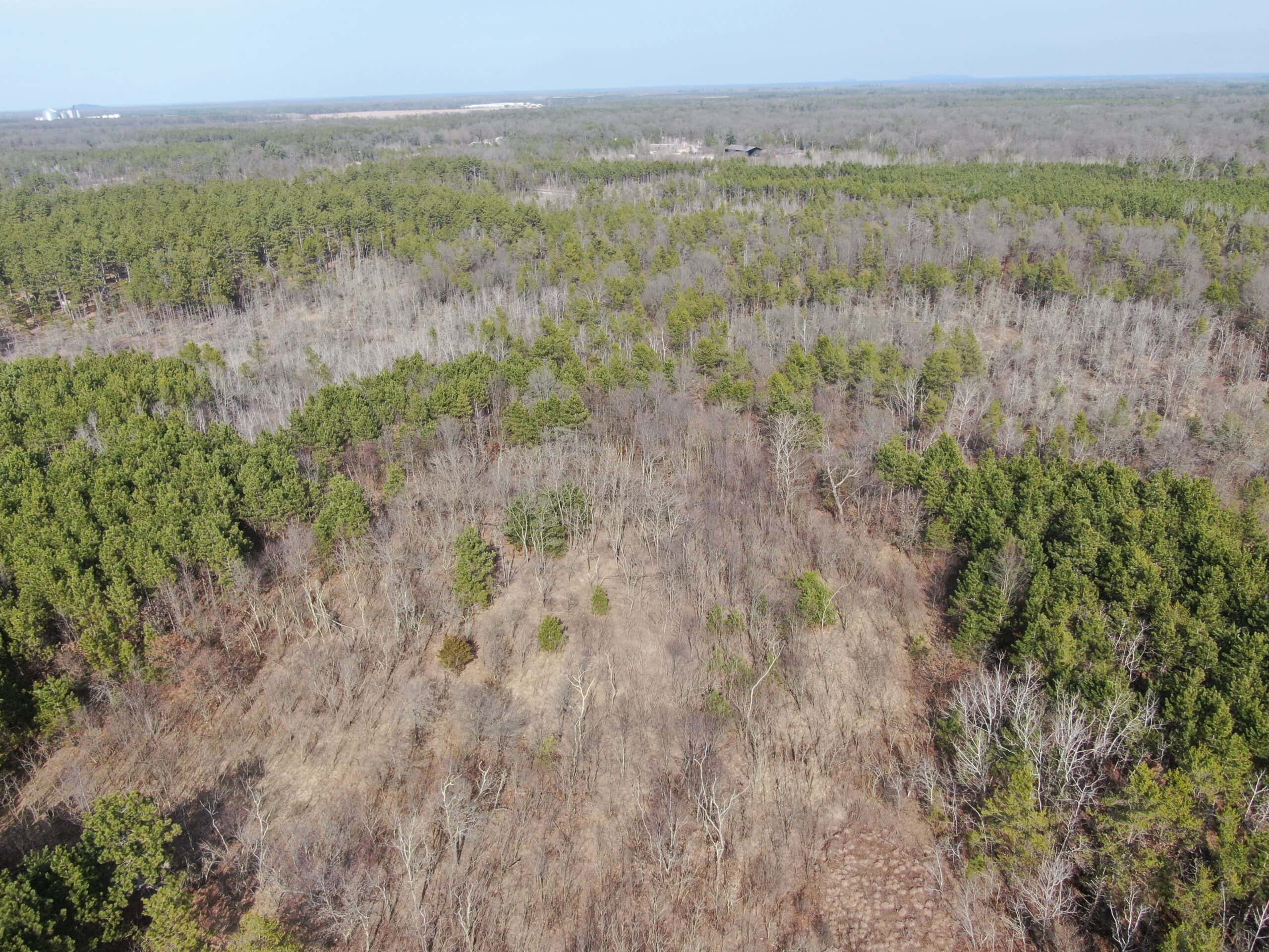 Juneau County 76 +/- Acre Parcel