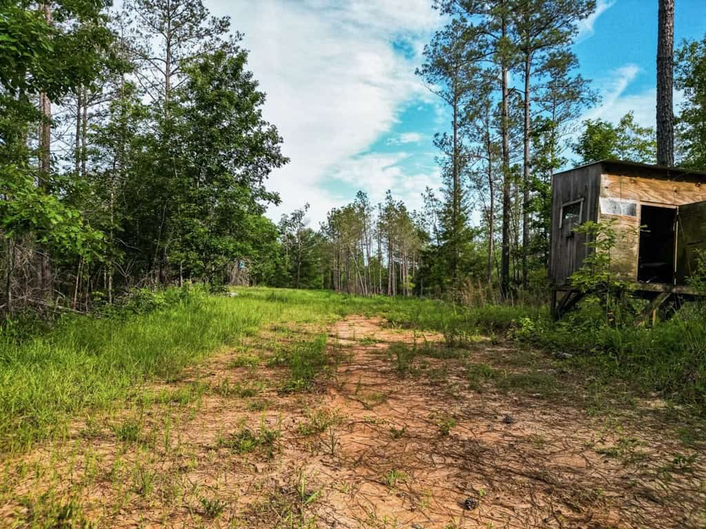 586 Hunting Land in the Catahoula Hills with Creek