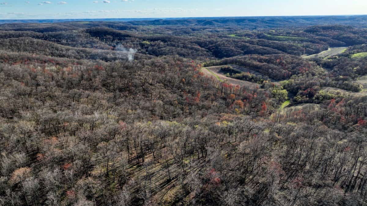 Premium 32+/- Acre Parcel in La Crosse County WI