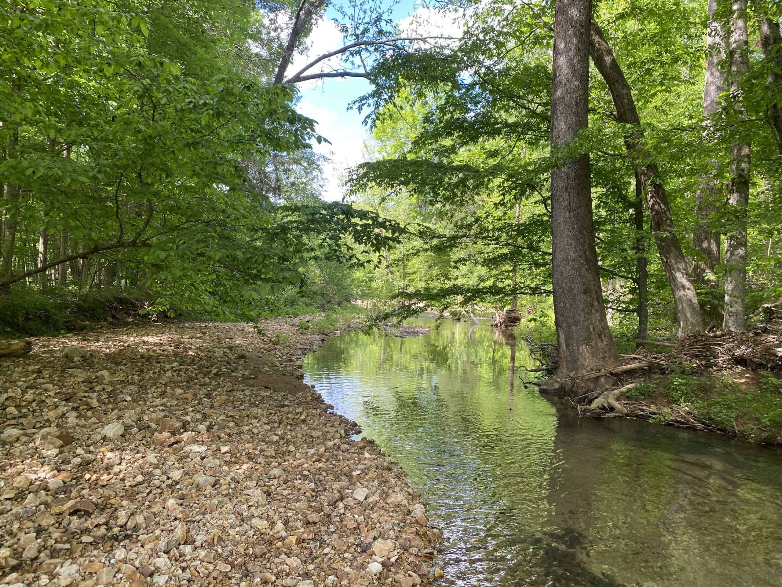 LAND FOR SALE IN TN, 39 AC+/-, CREEK, OPEN & WOODED, HUNTING