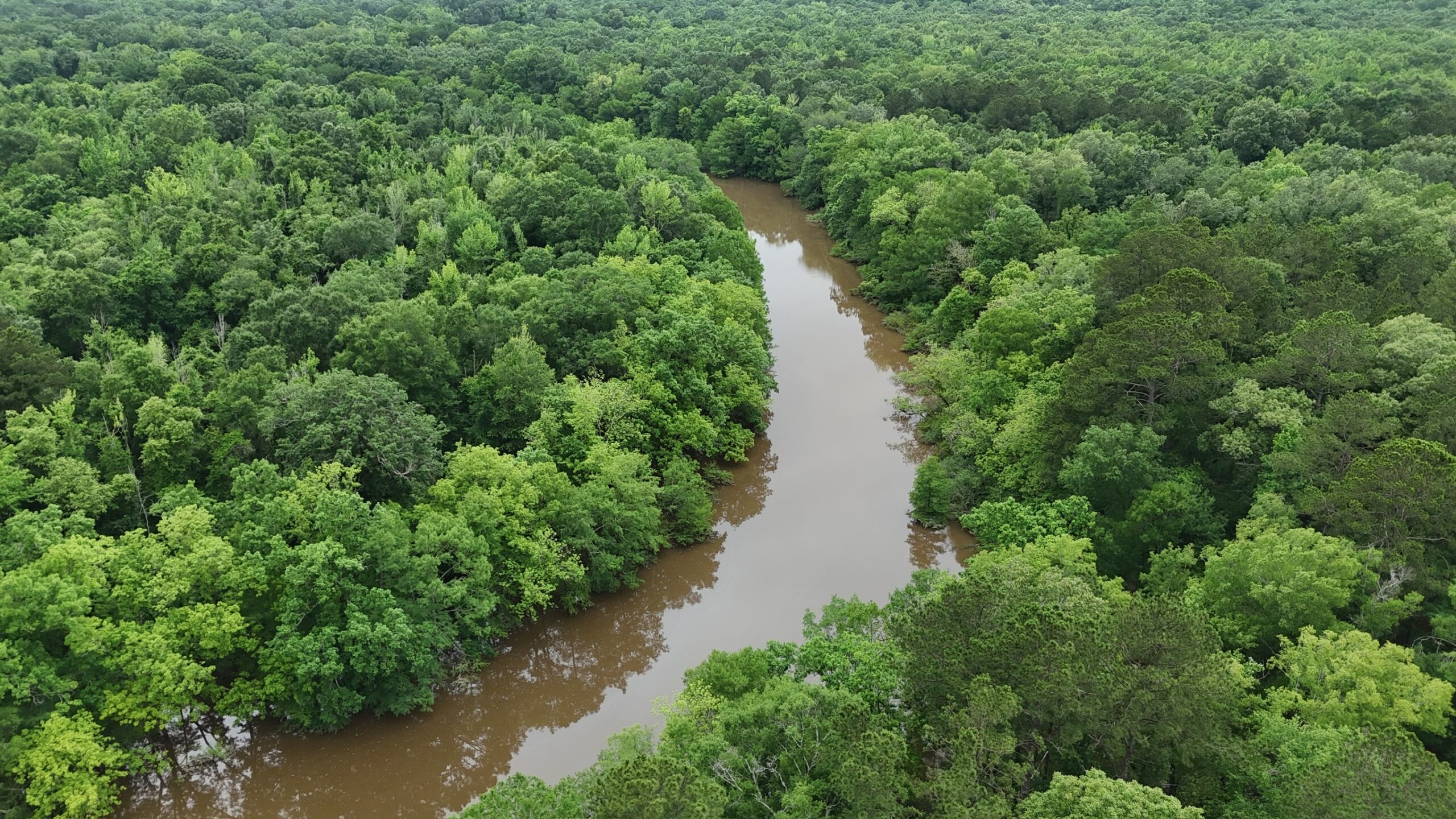 Riverfront Hunting Property with a Private Lake