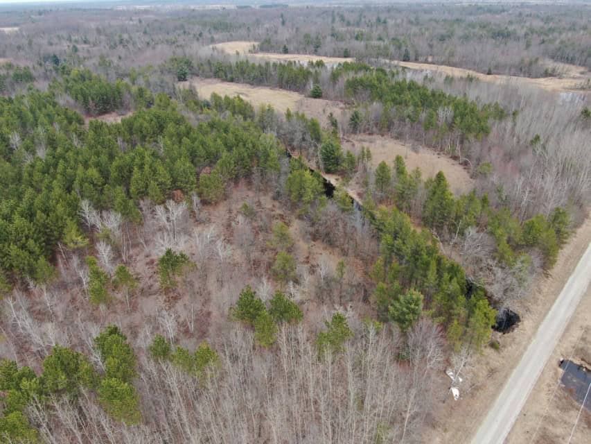 103± acre timber tract in Juneau County’s Town of Necedah