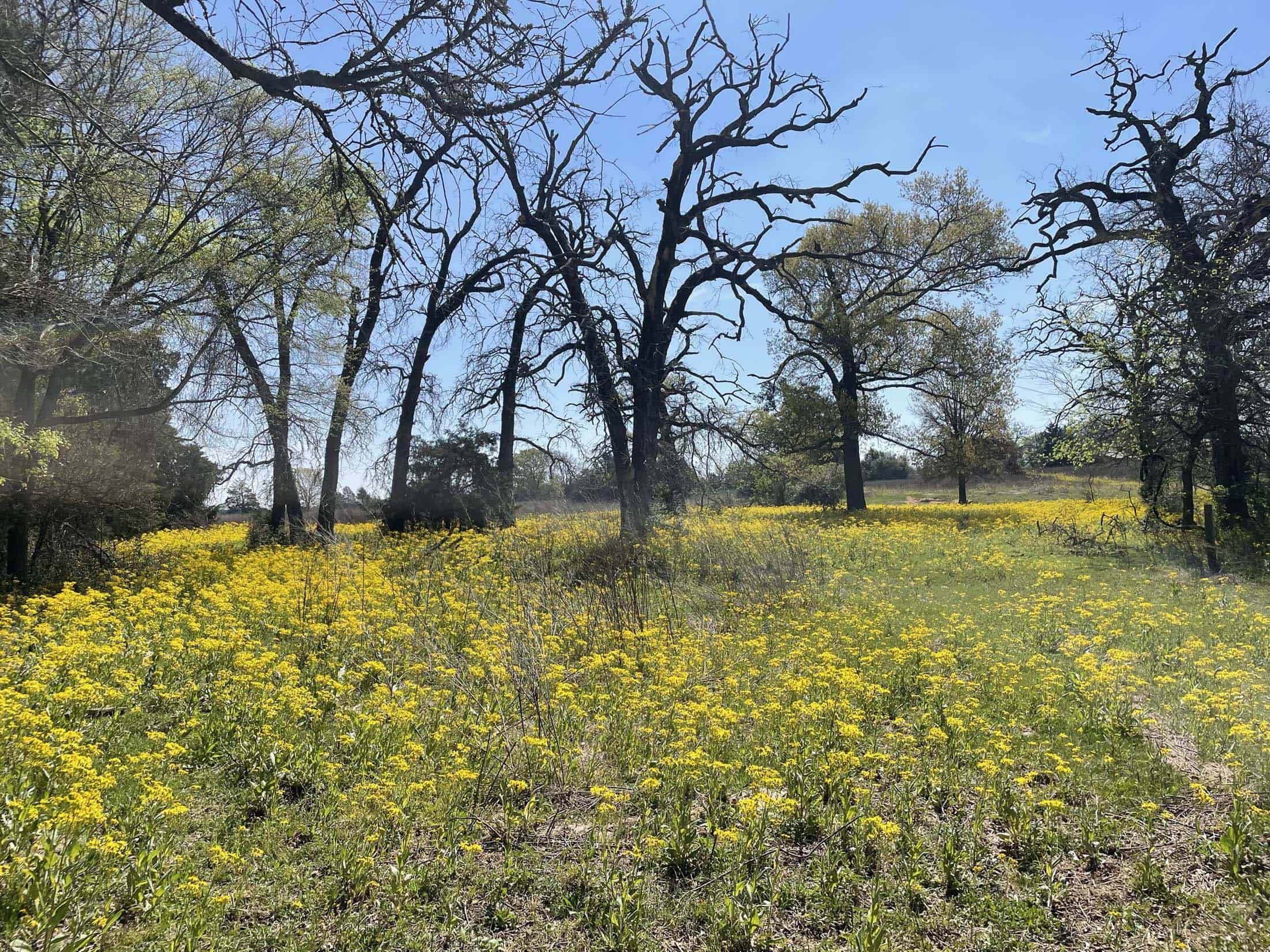 Recreational Ranch North of Houston near Grapeland TX
