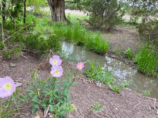 51.01 Acres for Sale in Gatesville, TX – Gated Entrance, Pond, and Stunning Views