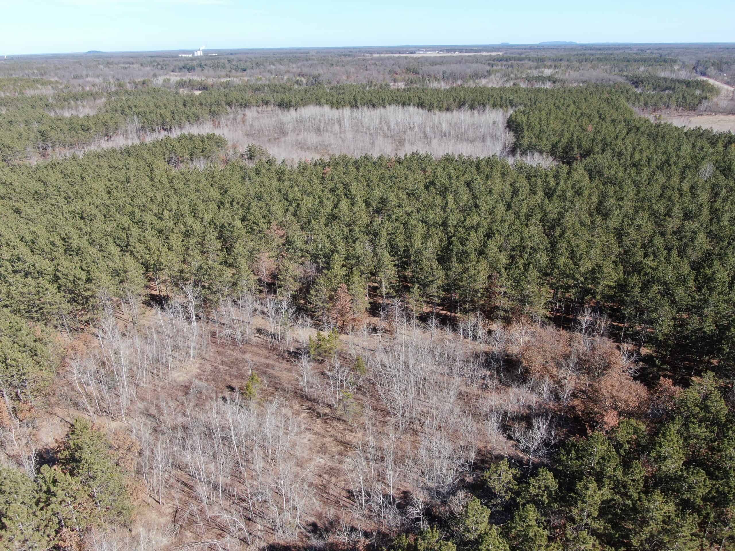 Juneau County WI 200-Acre Tract of Land