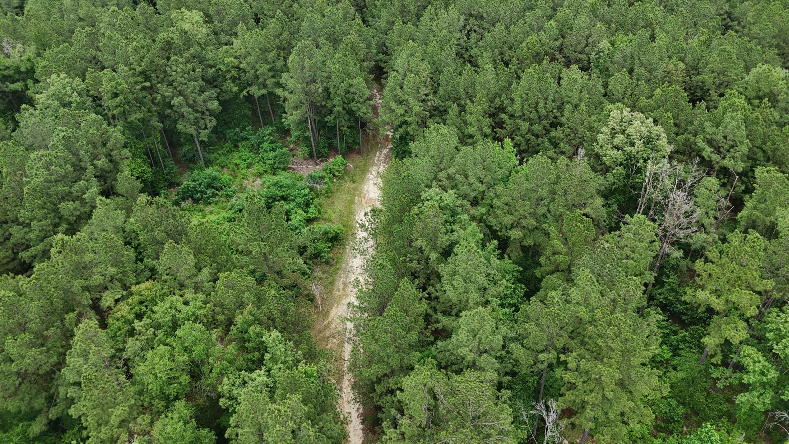Riverfront Hunting Property with a Private Lake
