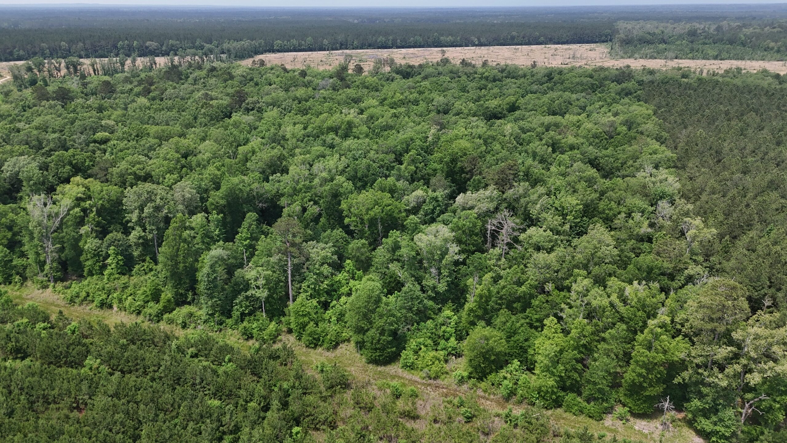 70 Acre Hunting Property with Camp Spot and Utilities