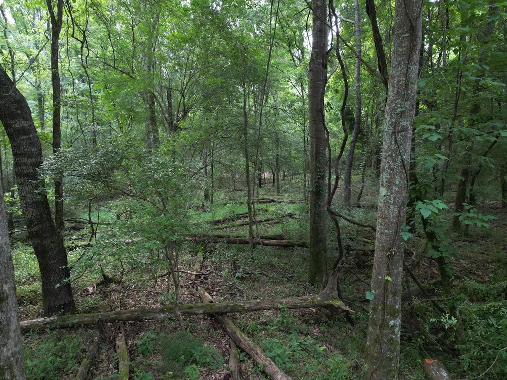 Secluded Land for Sale in Roxie – MS Hamburg Community Lot