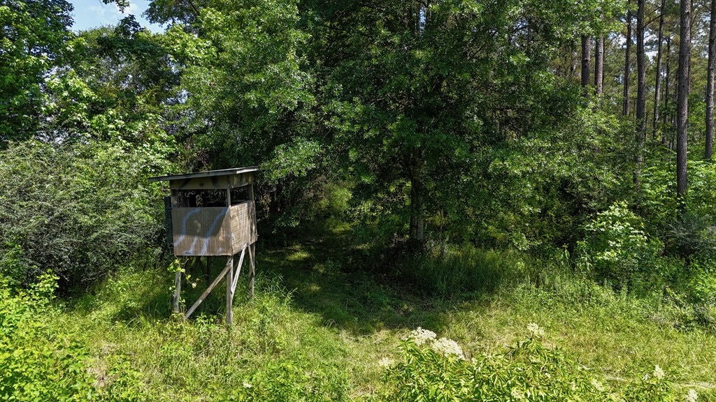 Turnkey Pike County, MS 70 Acres Hunting Property