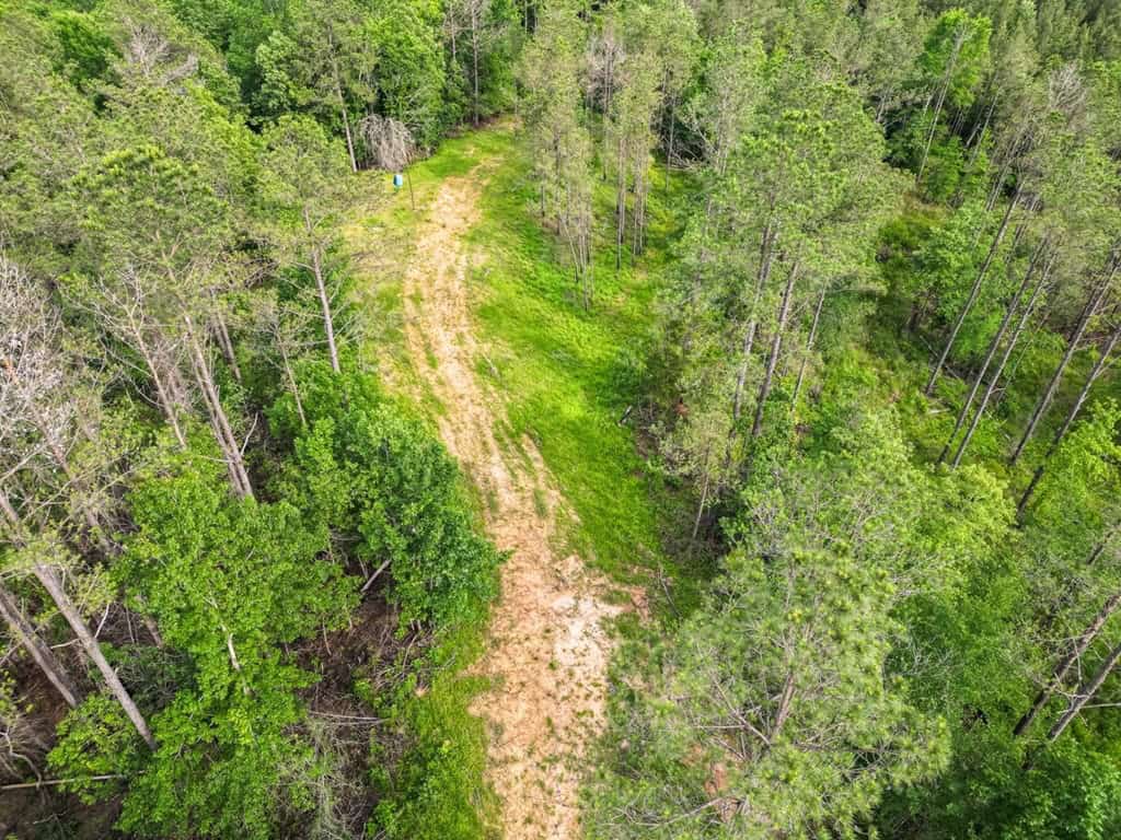 586 Hunting Land in the Catahoula Hills with Creek
