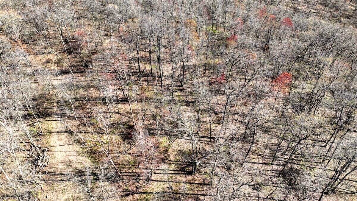 Premium 32+/- Acre Parcel in La Crosse County WI