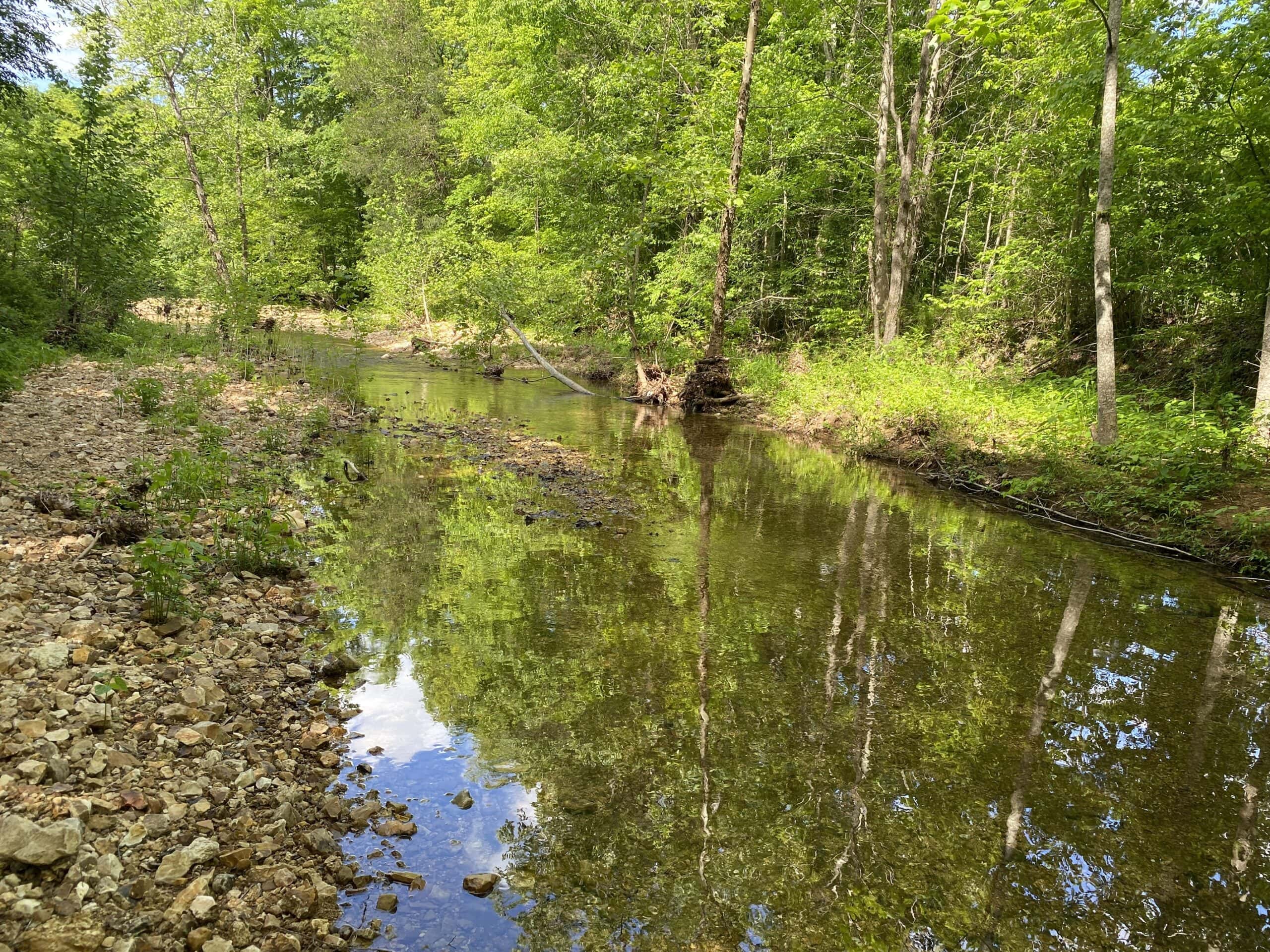 LAND FOR SALE IN TN, 39 AC+/-, CREEK, OPEN & WOODED, HUNTING