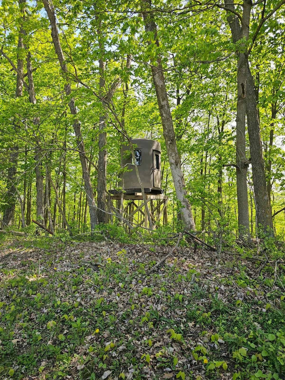 65-acre trophy whitetail and turkey hotspot