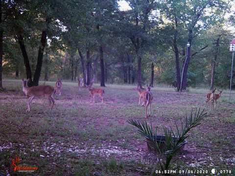 32-Acre Live Water Property with Leon River Frontage in Gatesville, TX