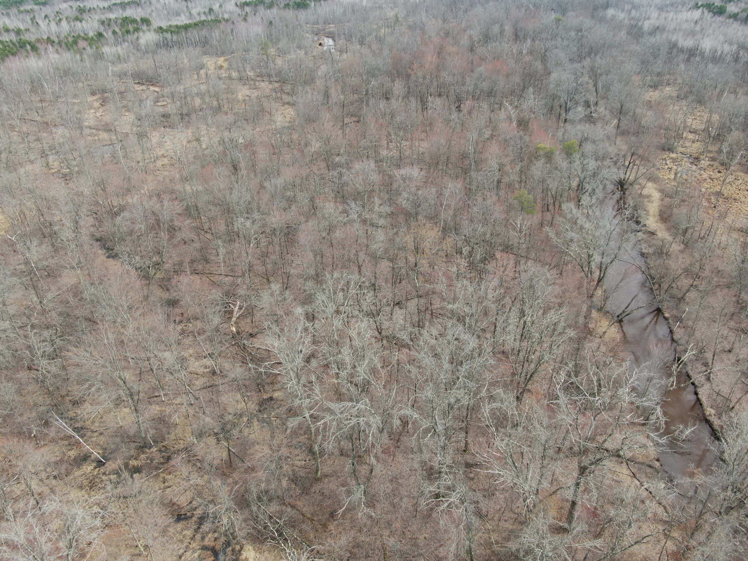 Juneau County WI 360 Acre Outdoor Paradise