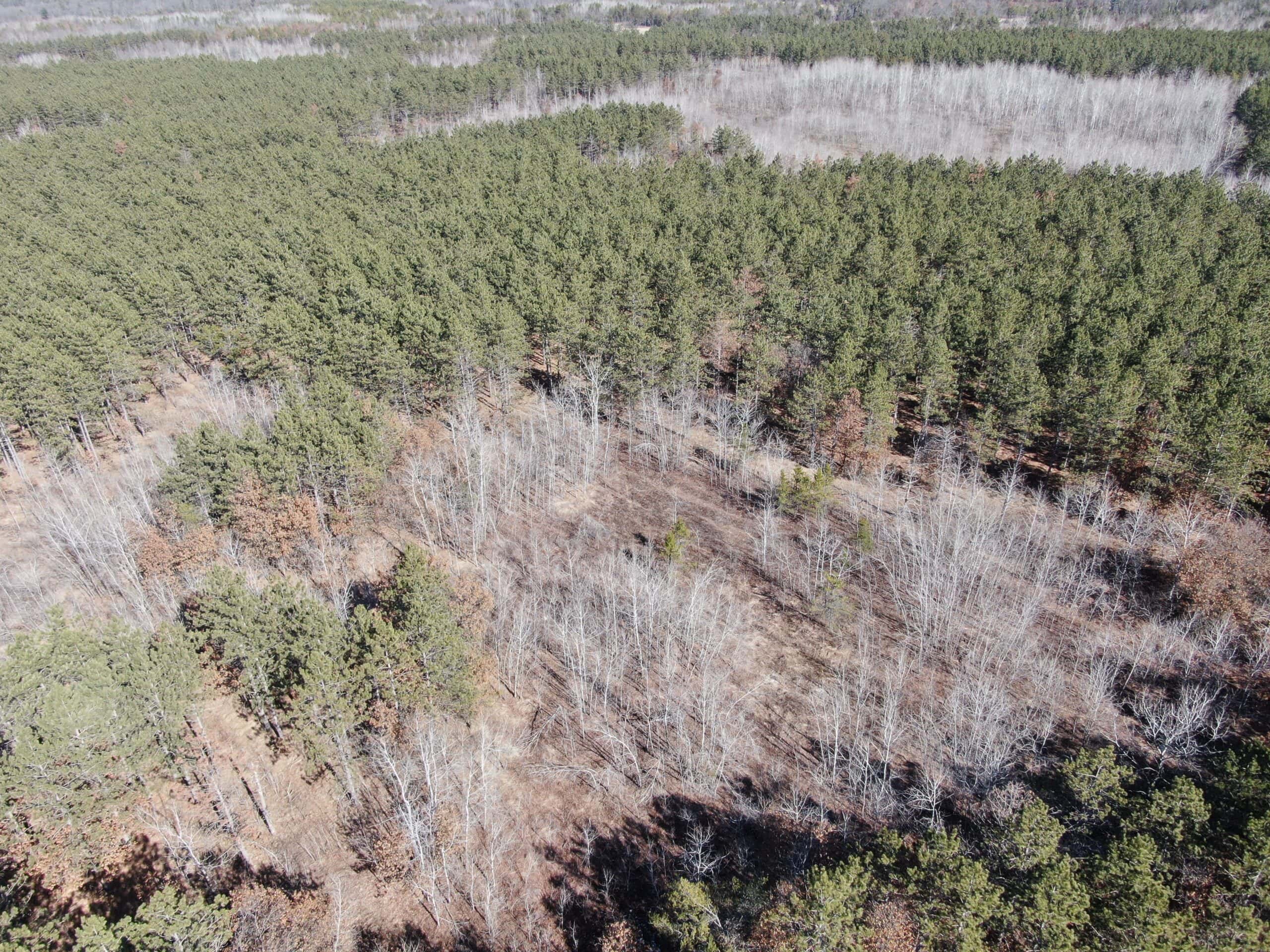 Juneau County WI 200-Acre Tract of Land
