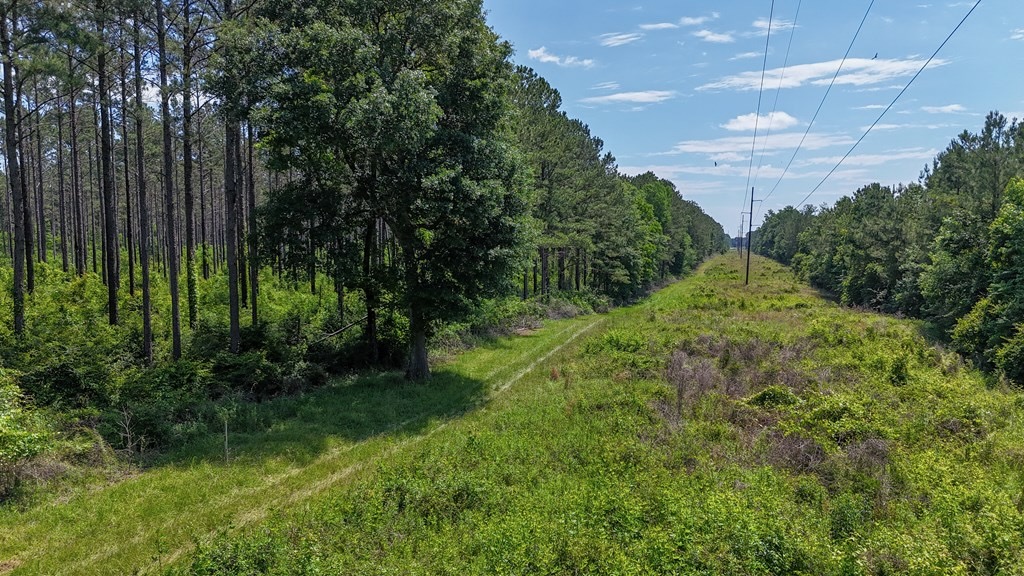 Turnkey Pike County, MS 70 Acres Hunting Property
