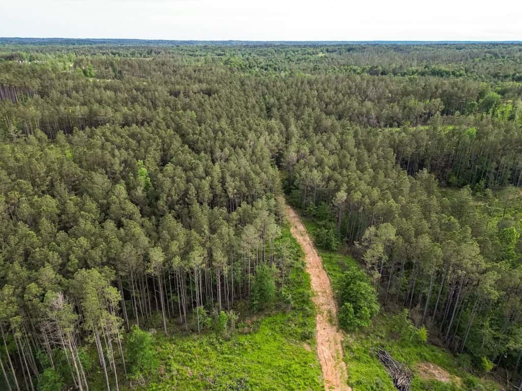 586 Hunting Land in the Catahoula Hills with Creek